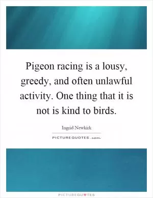 Pigeon racing is a lousy, greedy, and often unlawful activity. One thing that it is not is kind to birds Picture Quote #1