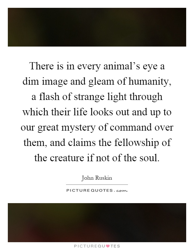 There is in every animal's eye a dim image and gleam of humanity, a flash of strange light through which their life looks out and up to our great mystery of command over them, and claims the fellowship of the creature if not of the soul Picture Quote #1
