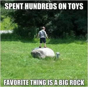 Spent hundreds on toys. Favorite thing is a big rock Picture Quote #1