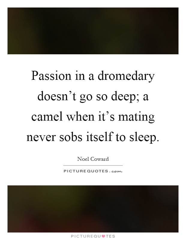 Passion in a dromedary doesn't go so deep; a camel when it's mating never sobs itself to sleep Picture Quote #1