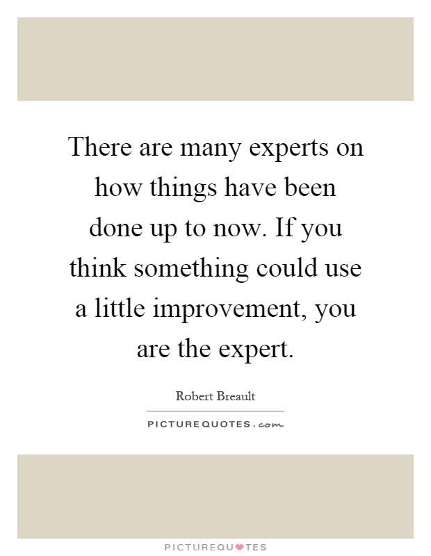 There are many experts on how things have been done up to now. If you think something could use a little improvement, you are the expert Picture Quote #1