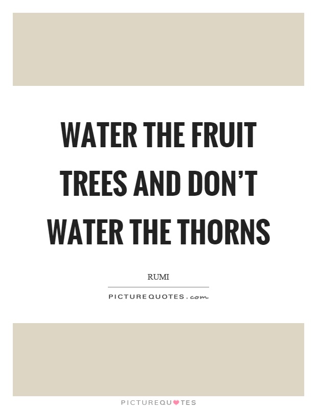 Water the fruit trees and don't water the thorns Picture Quote #1