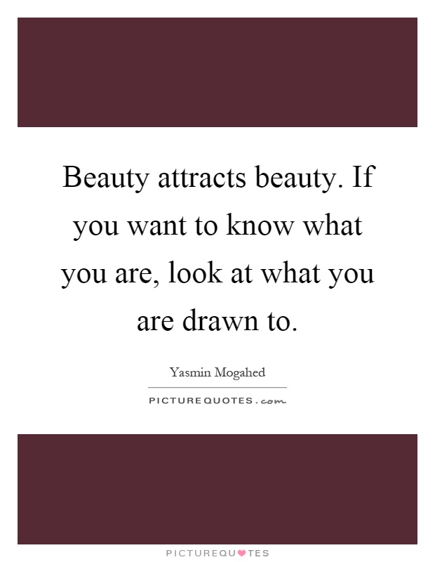 Beauty attracts beauty. If you want to know what you are, look at what you are drawn to Picture Quote #1