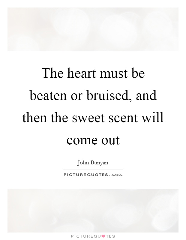 The heart must be beaten or bruised, and then the sweet scent will come out Picture Quote #1