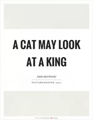 A cat may look at a king Picture Quote #1