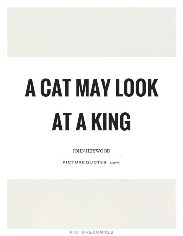 A cat may look at a king Picture Quote #1