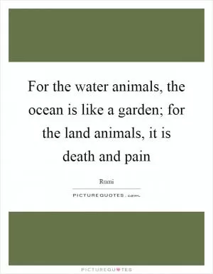 For the water animals, the ocean is like a garden; for the land animals, it is death and pain Picture Quote #1