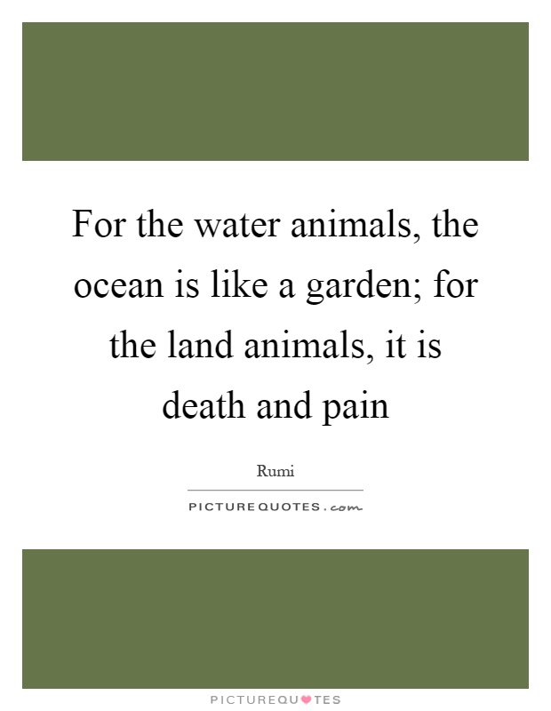 For the water animals, the ocean is like a garden; for the land animals, it is death and pain Picture Quote #1
