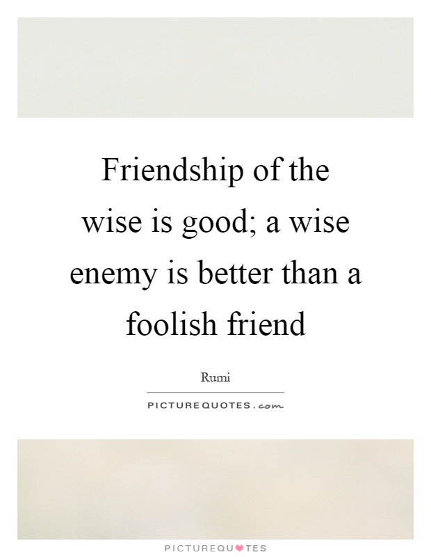 Friendship of the wise is good; a wise enemy is better than a foolish friend Picture Quote #1
