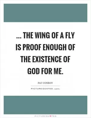 ... the wing of a fly is proof enough of the existence of God for me Picture Quote #1