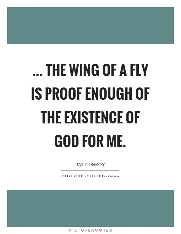 ... the wing of a fly is proof enough of the existence of God for me Picture Quote #1