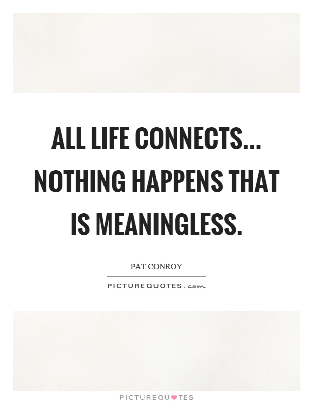 All life connects... Nothing happens that is meaningless Picture Quote #1