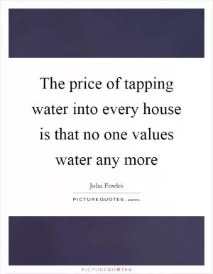 The price of tapping water into every house is that no one values water any more Picture Quote #1