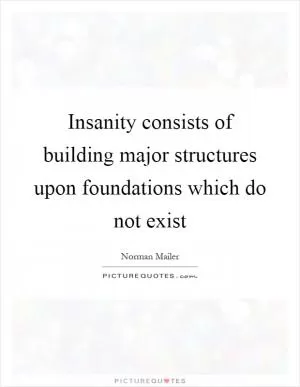 Insanity consists of building major structures upon foundations which do not exist Picture Quote #1