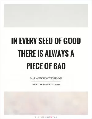 In every seed of good there is always a piece of bad Picture Quote #1