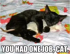 You had one job, cat Picture Quote #1
