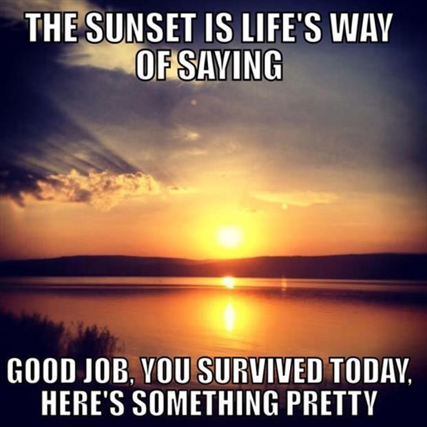 The sunset is life's way of saying “Good job, you survived today, here's something pretty” Picture Quote #1