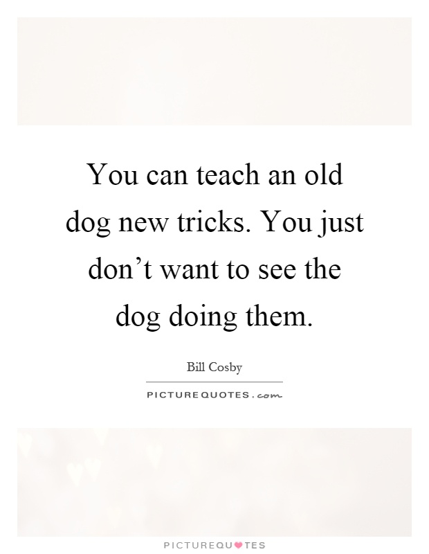 You can teach an old dog new tricks. You just don't want to see the dog doing them Picture Quote #1