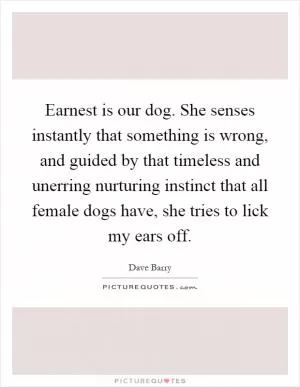 Earnest is our dog. She senses instantly that something is wrong, and guided by that timeless and unerring nurturing instinct that all female dogs have, she tries to lick my ears off Picture Quote #1