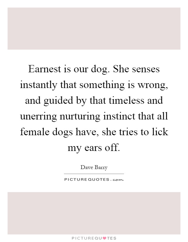 Earnest is our dog. She senses instantly that something is wrong, and guided by that timeless and unerring nurturing instinct that all female dogs have, she tries to lick my ears off Picture Quote #1