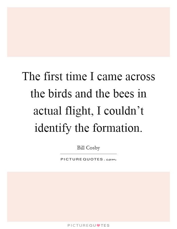 The first time I came across the birds and the bees in actual flight, I couldn't identify the formation Picture Quote #1