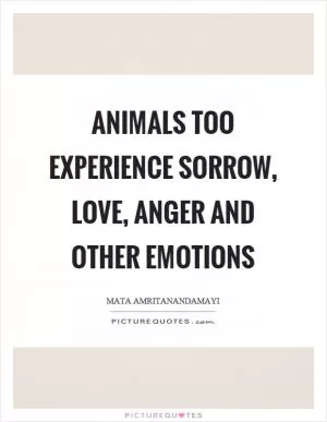 Animals too experience sorrow, love, anger and other emotions Picture Quote #1