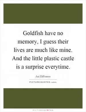 Goldfish have no memory, I guess their lives are much like mine. And the little plastic castle is a surprise everytime Picture Quote #1