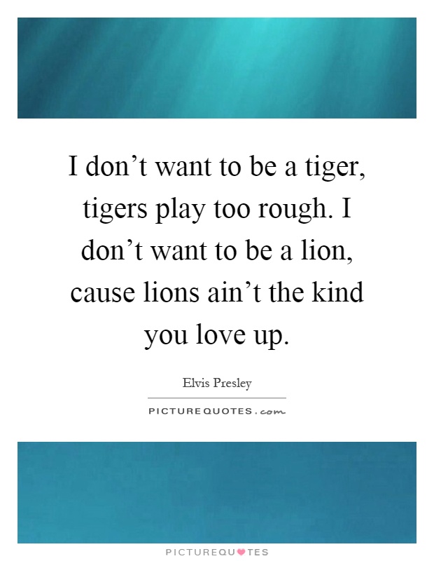 I don't want to be a tiger, tigers play too rough. I don't want to be a lion, cause lions ain't the kind you love up Picture Quote #1