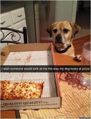 I wish someone would look at me the way my dog looks at pizza Picture Quote #1