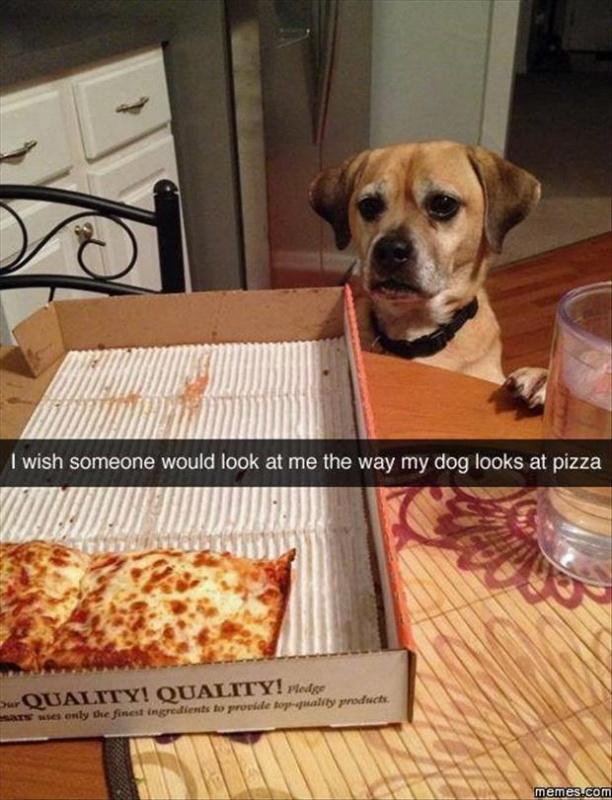 I wish someone would look at me the way my dog looks at pizza Picture Quote #1