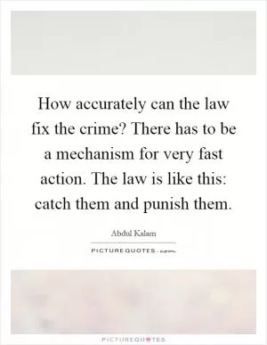 How accurately can the law fix the crime? There has to be a mechanism for very fast action. The law is like this: catch them and punish them Picture Quote #1