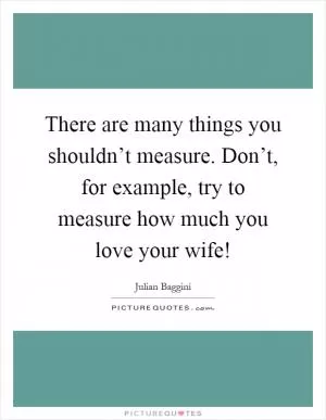 There are many things you shouldn’t measure. Don’t, for example, try to measure how much you love your wife! Picture Quote #1