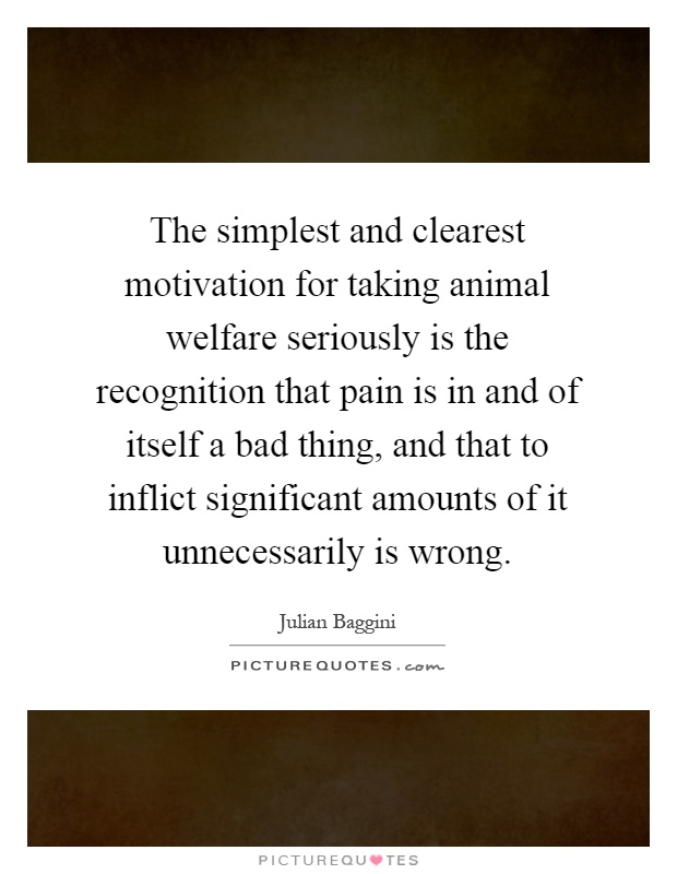 The simplest and clearest motivation for taking animal welfare seriously is the recognition that pain is in and of itself a bad thing, and that to inflict significant amounts of it unnecessarily is wrong Picture Quote #1