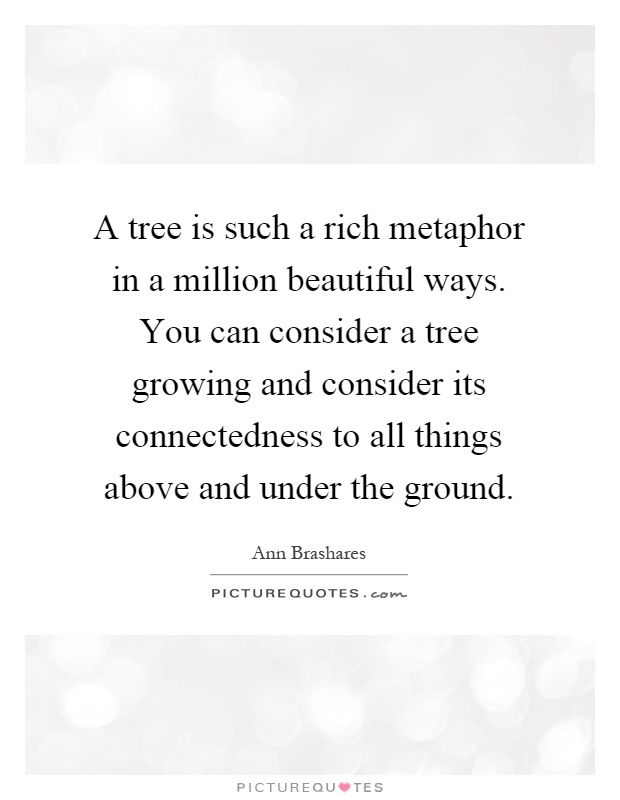A tree is such a rich metaphor in a million beautiful ways. You can consider a tree growing and consider its connectedness to all things above and under the ground Picture Quote #1