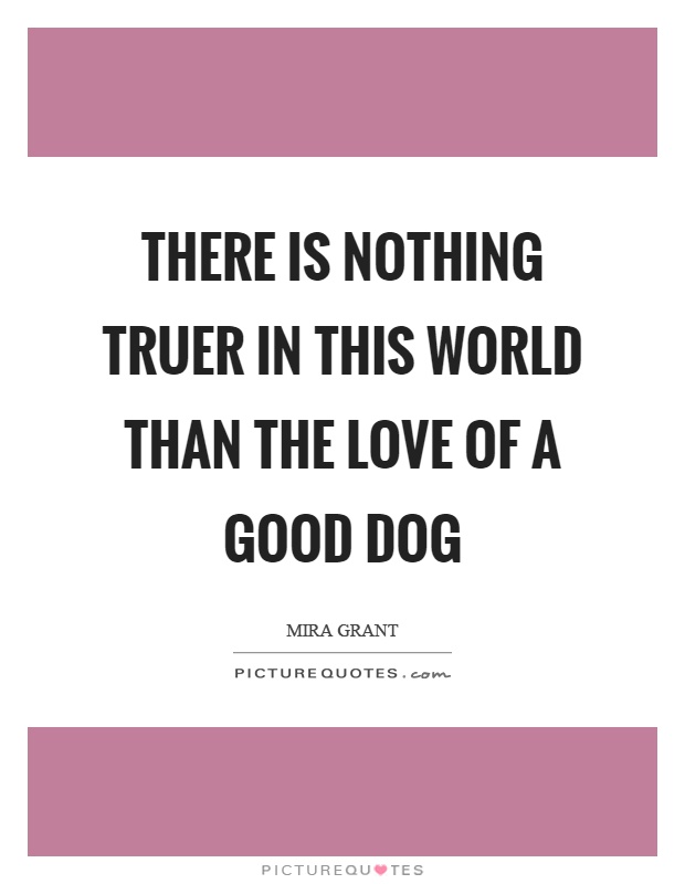 There is nothing truer in this world than the love of a good dog Picture Quote #1