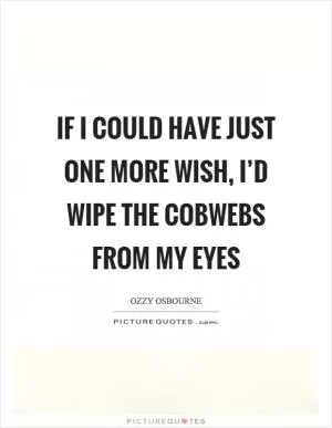 If I could have just one more wish, I’d wipe the cobwebs from my eyes Picture Quote #1