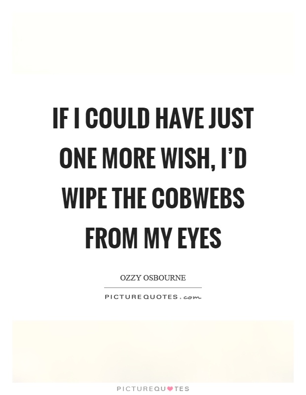 If I could have just one more wish, I'd wipe the cobwebs from my eyes Picture Quote #1