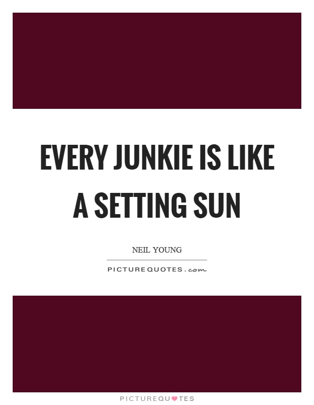 Every junkie is like a setting sun Picture Quote #1