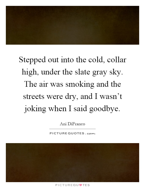 Stepped out into the cold, collar high, under the slate gray sky. The air was smoking and the streets were dry, and I wasn't joking when I said goodbye Picture Quote #1