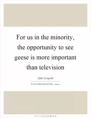 For us in the minority, the opportunity to see geese is more important than television Picture Quote #1