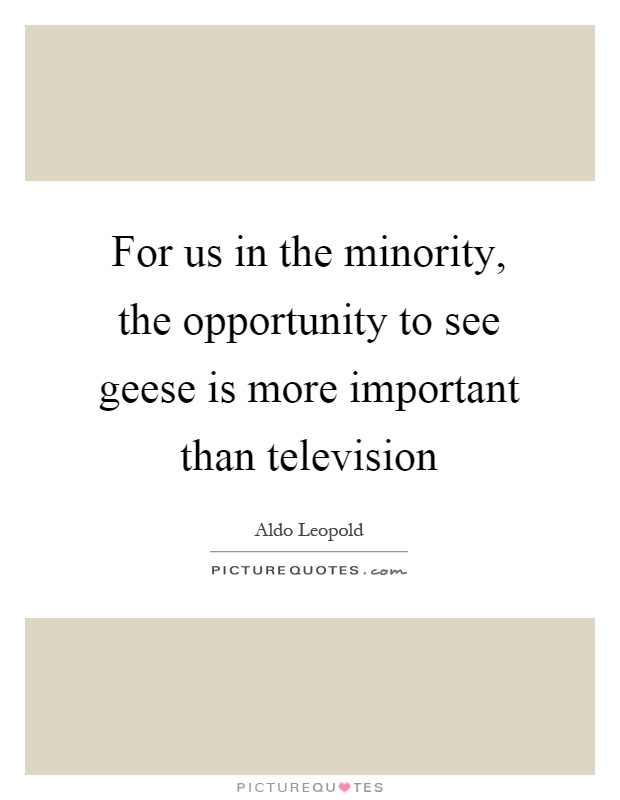 For us in the minority, the opportunity to see geese is more important than television Picture Quote #1