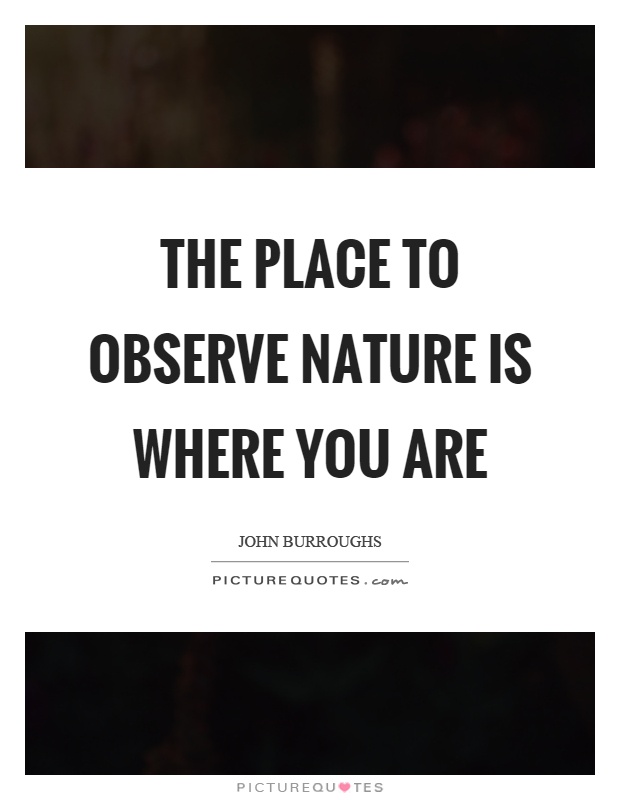 The place to observe nature is where you are Picture Quote #1