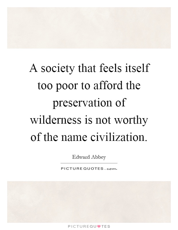 A society that feels itself too poor to afford the preservation of wilderness is not worthy of the name civilization Picture Quote #1