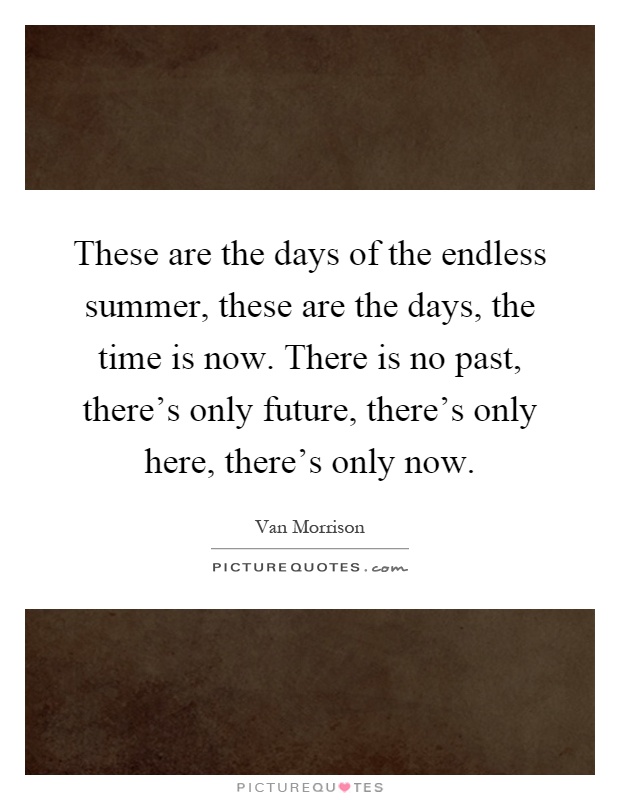 These are the days of the endless summer, these are the days, the time is now. There is no past, there's only future, there's only here, there's only now Picture Quote #1