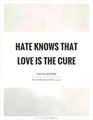 Hate knows that love is the cure Picture Quote #1