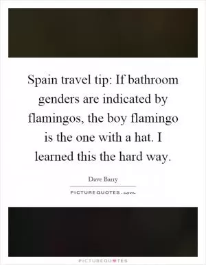 Spain travel tip: If bathroom genders are indicated by flamingos, the boy flamingo is the one with a hat. I learned this the hard way Picture Quote #1