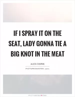 If I spray it on the seat, lady gonna tie a big knot in the meat Picture Quote #1
