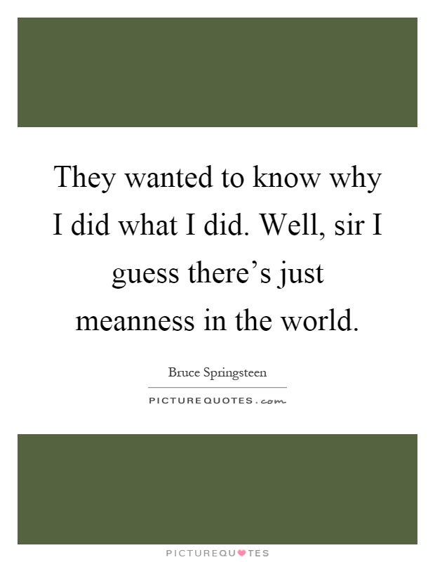 They wanted to know why I did what I did. Well, sir I guess there's just meanness in the world Picture Quote #1