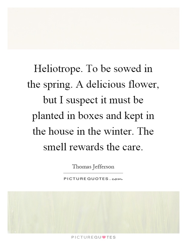 Heliotrope. To be sowed in the spring. A delicious flower, but I suspect it must be planted in boxes and kept in the house in the winter. The smell rewards the care Picture Quote #1