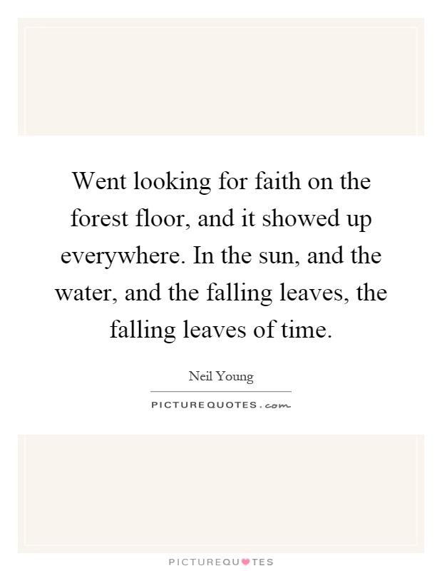 Went looking for faith on the forest floor, and it showed up everywhere. In the sun, and the water, and the falling leaves, the falling leaves of time Picture Quote #1